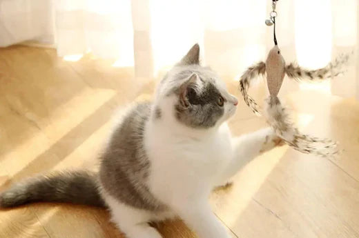 DIY For Your Pet - Cat Stick Toy