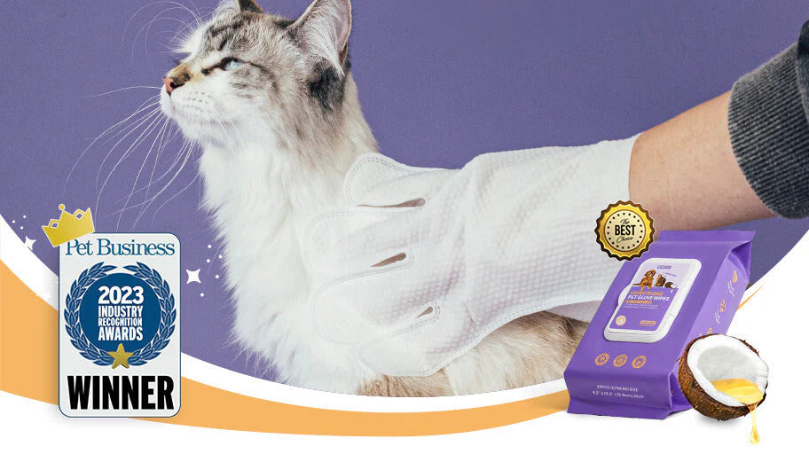 HICC Pet® Receives Industry Recognition Award from Pet Business Magazine