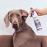 2X Power Dog Skin Care Relief Spray 10.1 fl oz